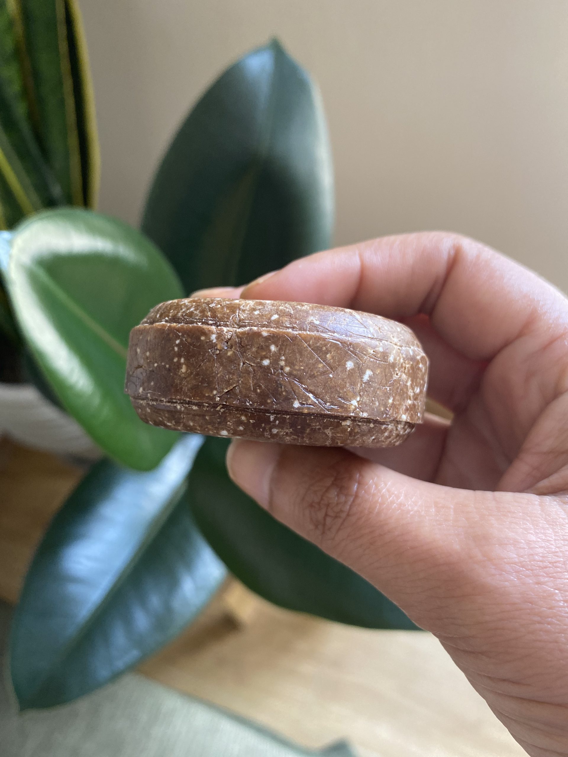 Shampoo Sólido de Shikakai